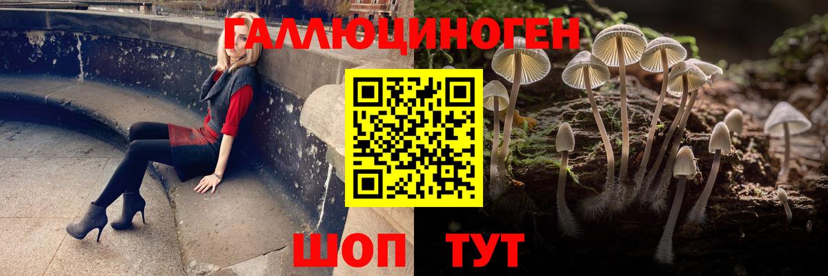 Галлюциногенные грибы мицелий Лосино-Петровский